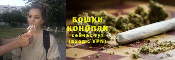 apvp Лиски