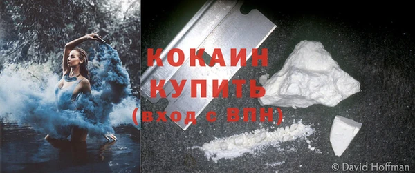 apvp Лиски